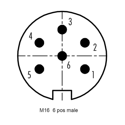 Conector protegido do parafuso do conector 6P de RIGOAL PA66 M16 conjunto reto masculino